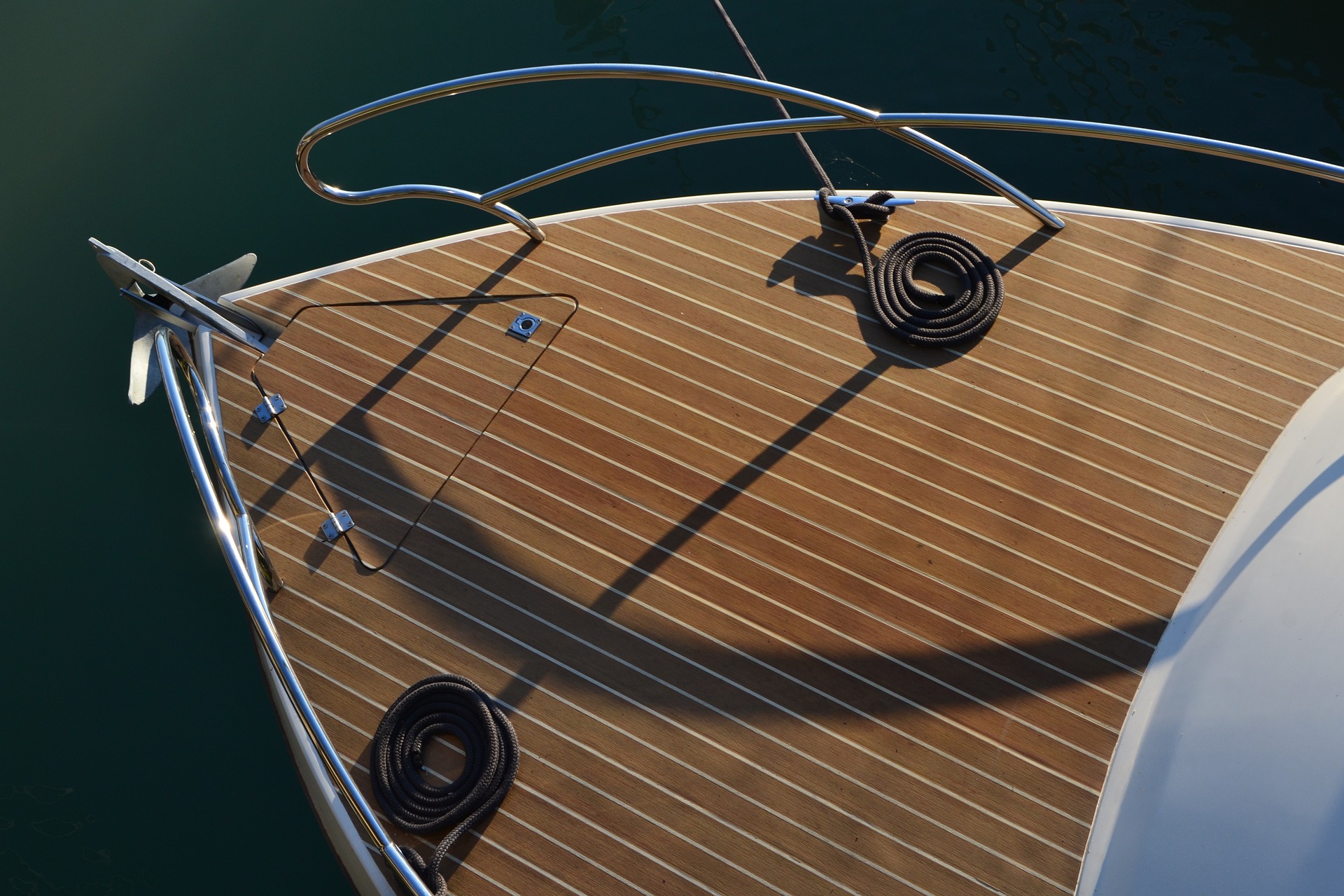 Gecko Marine