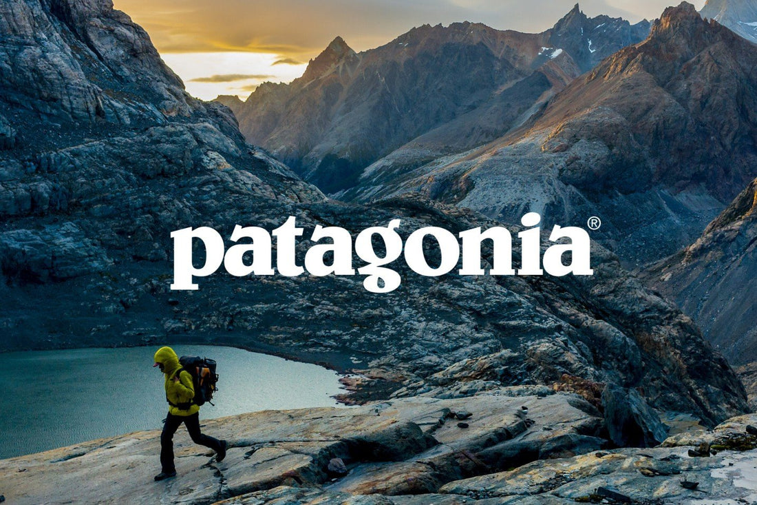 Patagonia VS Reformation. Who Wears the Crown?