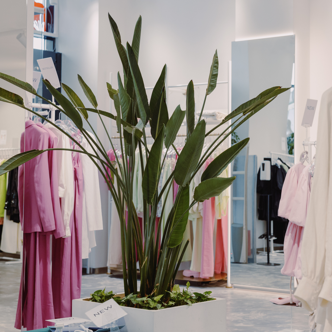 Refining Sustainable Fashion Through Buyer Personas